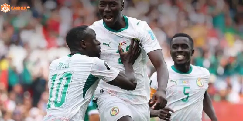 Bỉ vs Senegal World Cup 2026 sân vận động sôi động vòng 1/16
